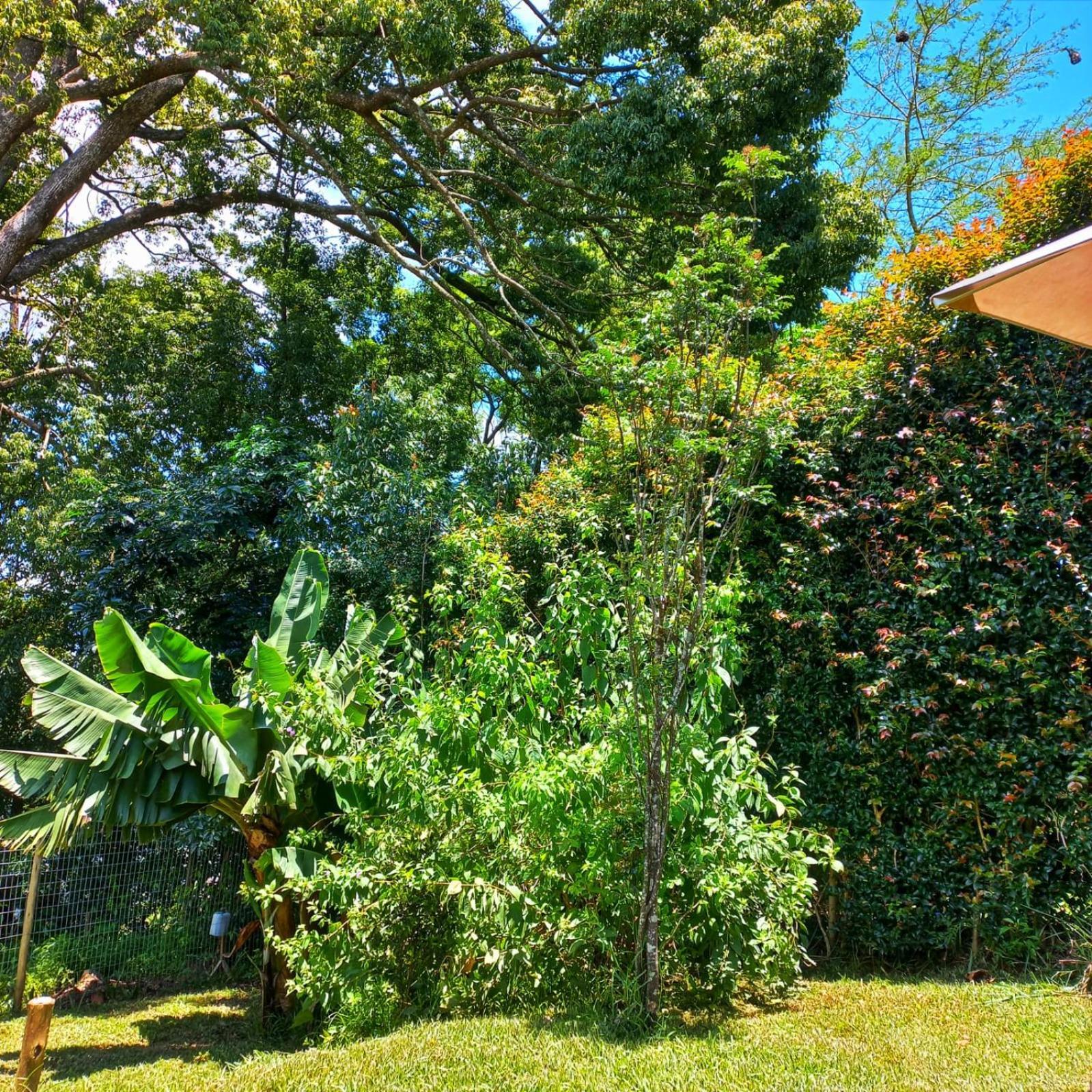 Highview Lodge Gillitts Екстериор снимка